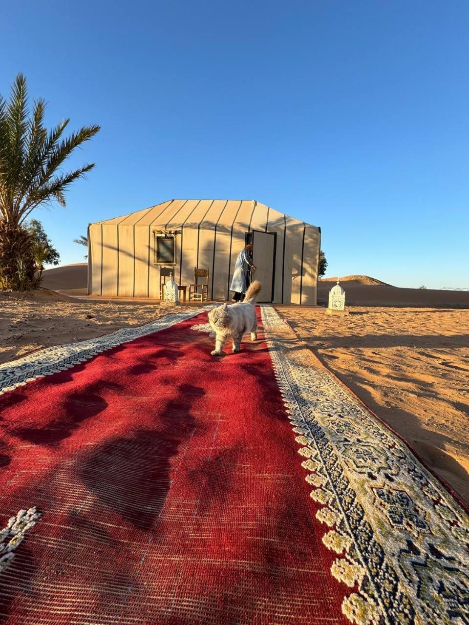 Hotel Sahara Luxury Camp Vip Merzouga Zewnętrze zdjęcie